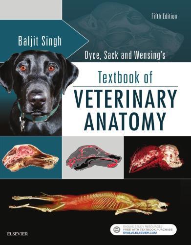 Dyce Sack And Wensings Textbook Of Veterinary Anatomy 5Th