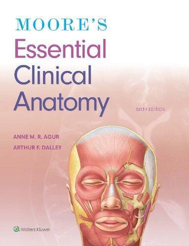Moores Essential Clinical Anatomy 6Th