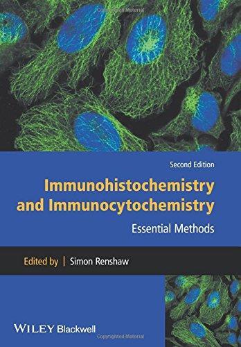 Immunohistochemistry And Immunocytochemistry Essential Methods 2Nd Immunohistochemistry And Immunocytochemistry Essential Methods 2Nd