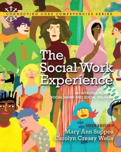 The Social Work Experience An Introduction To Social Work And Social Welfare 6Th