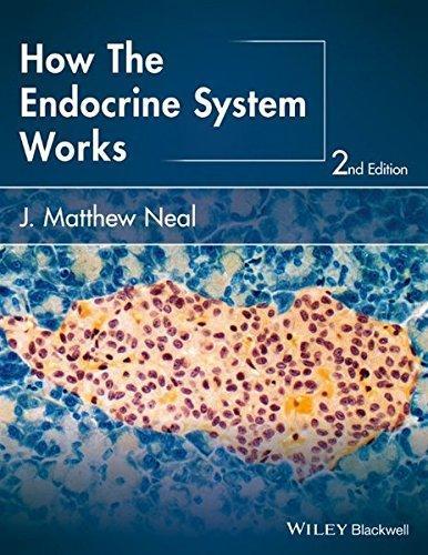 How The Endocrine System Works 2Nd