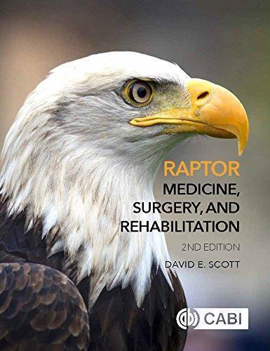 Raptor Medicine Surgery And Rehabilitation 2Nd