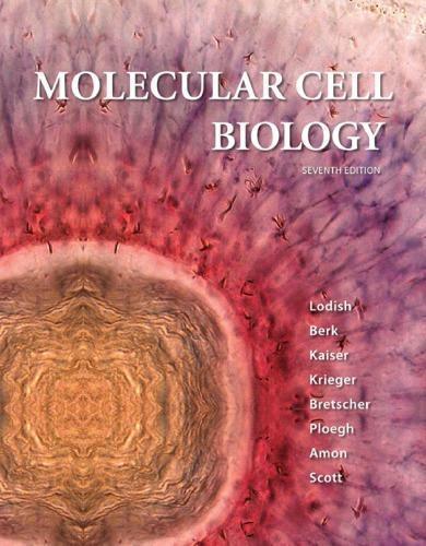 Molecular Cell Biology 7Th
