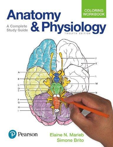 Anatomy And Physiology Coloring Workbook A Complete Study Guide 12Th