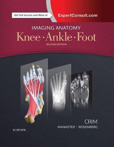Imaging Anatomy Knee Ankle Foot 2Nd