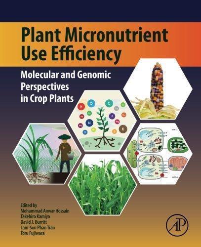 Plant Micronutrient Use Efficiency Molecular And Genomic Perspectives In Crop Plants