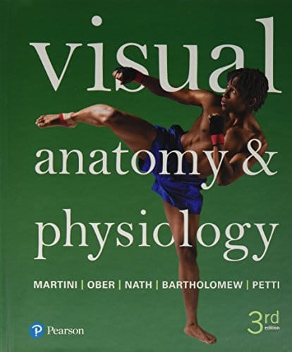 Visual Anatomy 038 Physiology 8211 3rd