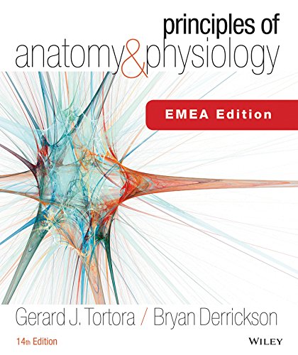 Principles of anatomy 038 physiology