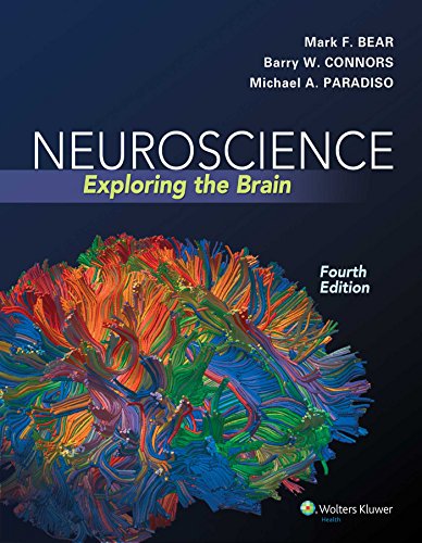 Neuroscience Exploring the Brain 8211 4th