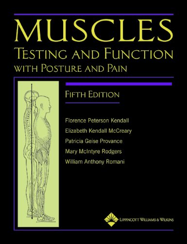 Muscles Testing and Function with Posture and Pain 5th 8211 5th