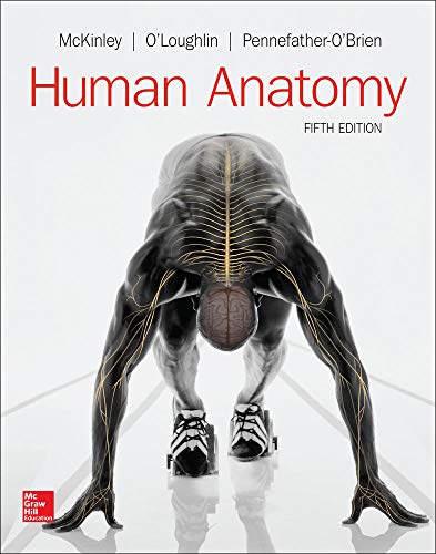 Human anatomy