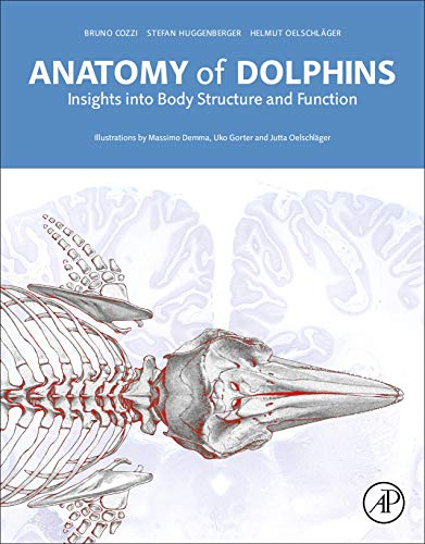 Anatomy of Dolphins Insights Into Body Structure and Function