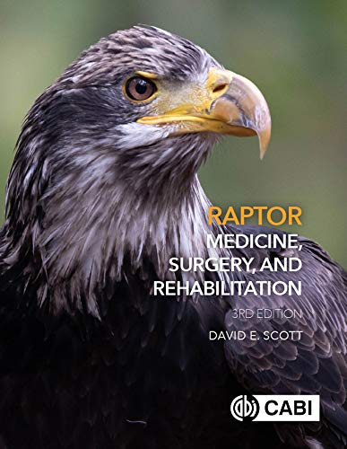 Raptor Medicine Surgery And Rehabilitation 3Rd