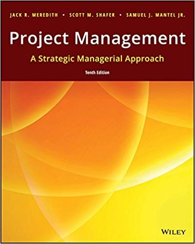 Project Management A Strategic Managerial Approach 10th