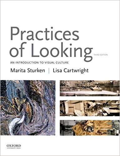 Practices of Looking An Introduction to Visual Culture 3rd