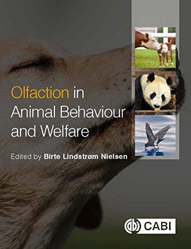Olfaction In Animal Behaviour And Welfare