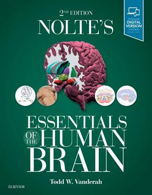 Noltes Essentials Of The Human Brain 2Nd Noltes Essentials Of The Human Brain 2Nd