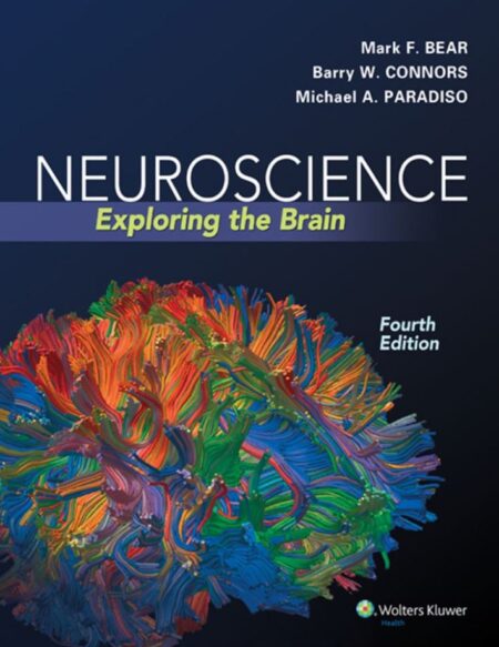 Neuroscience Exploring the Brain 4th 4E Mark Bear