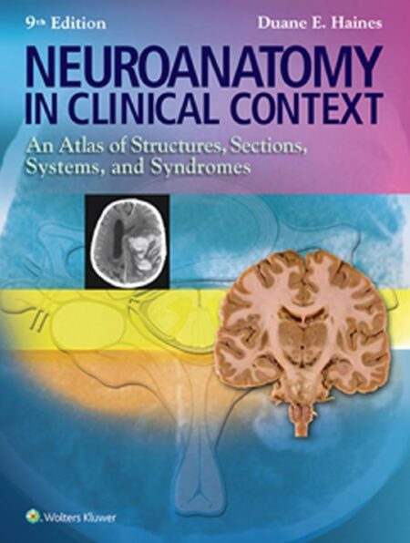 Neuroanatomy in Clinical Context 9th 9E