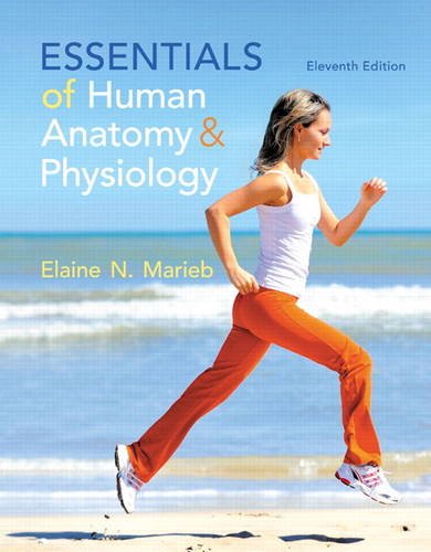 Essentials of Human Anatomy amp Physiology 11th Essentials of Human Anatomy amp Physiology 11th