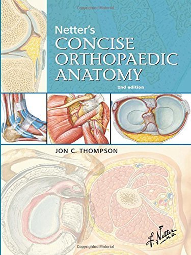 Netters Concise Orthopaedic Anatomy 2e Netter Basic Science by Jon C Thompson MD 20091027