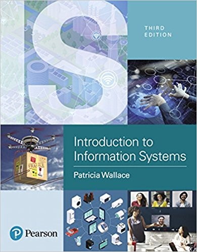 Introduction to Information Systems People Technology and Processes 3rd Introduction to Information Systems People Technology and Processes 3rd
