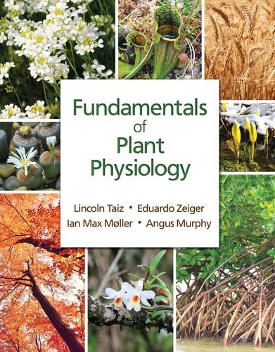 Fundamentals of Plant Physiology by Lincoln Taiz