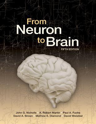 From Neuron To Brain 5th From Neuron To Brain 5th