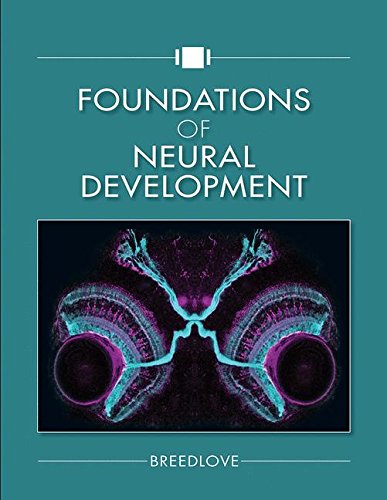 Foundations of Neural Development by S Marc Breedlove