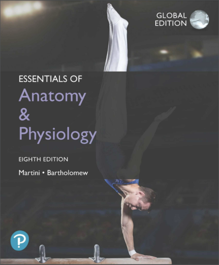 Essentials of Anatomy Physiology 8th Global
